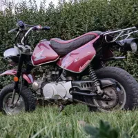 موتور سیکلت|موتورسیکلت|اردبیل, |دیوار