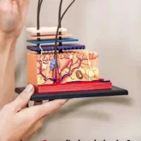 لیزر موهای زائد با 50% تخفیف به مدت 3 روز فقط 290|خدمات آرایشگری و زیبایی|مشهد, آزادشهر|دیوار