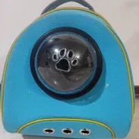 کیف گربه