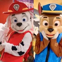 اجاره تن پوش عروسکی