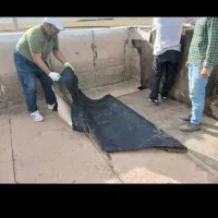 عایق کاری پشت بام باضمانت کتبی بااکیپ ویژه