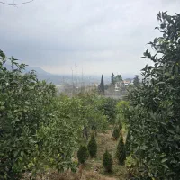 فروش ویژه زمین،باویوی بی نظیر نشتارود