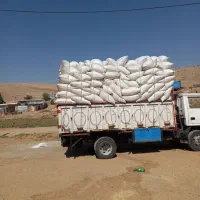 کاه گندم دیم
