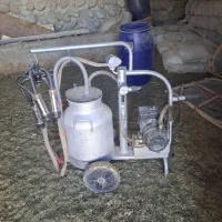 شیردوش|لوازم جانبی حیوانات|دهگلان, |دیوار