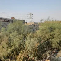 زمین درکوی سلیم اباد