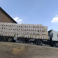 فروش کاه  گندم ارسال از کرمانشاه