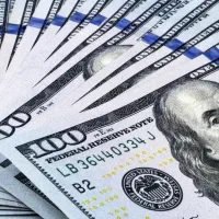 دلار کلکسیونی