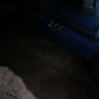 سایپا نیسان