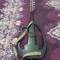 عود  الکتریک   اهواز   ارسالی|سازهای سنتی|حمیدیه, |دیوار