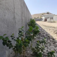 فروش زمین|فروش زمین و ملک کلنگی|جم, |دیوار