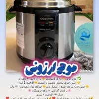 زودپز برقی ۶۶۲ گاسونیک پلوپز سرخ کن توستر