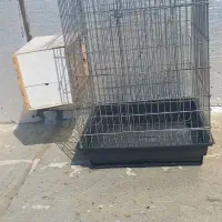 قفس پرنده بزرگ|لوازم جانبی حیوانات|مشکیندشت, |دیوار