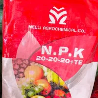 فروش انواع کود ریشه دی آمونیوم و تقویتی