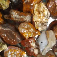 سنگ شجر زیبا|کلکسیون اشیاء عتیقه|کرمان, |دیوار