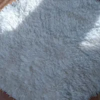 پرز بلند دایره|فرش|خوی, |دیوار