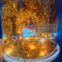 هدیه ولنتاین کادو روز زن مادر سالگرد ازدواج|صنایع دستی و سایر لوازم تزئینی|مشهد, تربیت (صدف)|دیوار