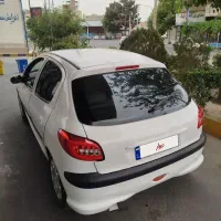 ۲۰۶ مدل ۸۱ استثنایی