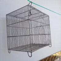 قفس پرنده عروس هلندی وسره بفروش میرسد|لوازم جانبی حیوانات|مشکیندشت, |دیوار