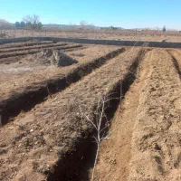 باغچه ۵۰۰ متری