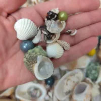 صدف|کلکسیون و سرگرمی|مشهد, حسابی جنوبی (شهرک غرب)|دیوار