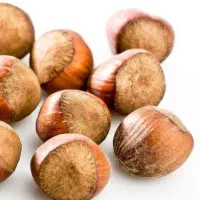 پیشفروش نهال فندق بارسلونا|خدمات باغبانی و درختکاری|اشتهارد, |دیوار