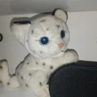 عروسک پولیشی