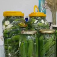 شیره انگور،آبغوره،خیار شور|خوردنی و آشامیدنی|کیش, |دیوار