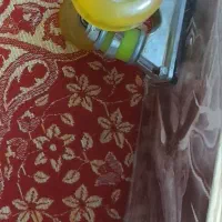 اسکیت برد نو|دوچرخه، اسکیت، اسکوتر|تهران, هفت چنار|دیوار