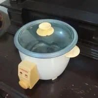 یک عدد پلوپز سالم