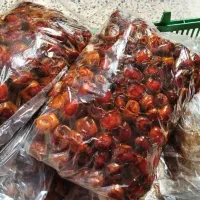 خرما برحی|خوردنی و آشامیدنی|اهواز, فرهنگ شهر|دیوار