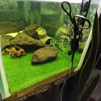 شیشه ی آکواریوم|ماهی|اصفهان, ارغوانیه|دیوار