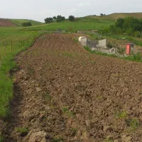 فروش زمین باغ 1500 متری روستای ناوخوشکان