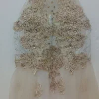 مجلسی سفید