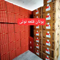 مبدل رادیات آبگرمکن دیواری بوتان 3115|آبگرمکن، پکیج، شوفاژ|قرچک, میرزائی شمالی|دیوار