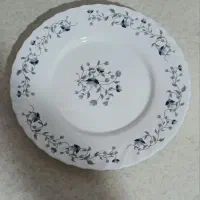 آرکوپال امارات