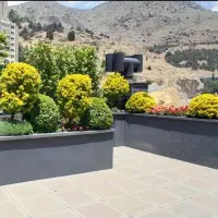 فضای سبز، محوطه سازی،گرین وال، روف گاردن|خدمات باغبانی و درختکاری|تهران, اقدسیه|دیوار