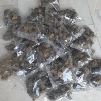 انبرنسا برای عفونت گوش و بدن