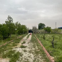 زمین باغی شهرک پیغمبر رباط کریم به شهریار|فروش زمین و ملک کلنگی|رباطکریم, پیغمبر|دیوار