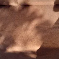 موکت در حد نو