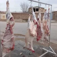 گوشت بره و بزغاله