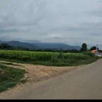 فروش ملک روستایی لاهیجان سند تک برگ|فروش خانه و ویلا|لاهیجان, بوجایه|دیوار