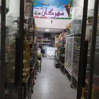 فروش انواع پرنده و ملزومات طوطی در مهرگان