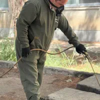 سمپاشی  سوسک .سوسک ریز.موش. بید. کنه|خدمات نظافت|تهران, آبشار تهران (دریاچه)|دیوار