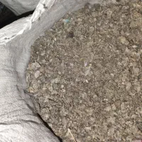 کبوتر، کود بی خاک|گل و گیاه طبیعی|سیرجان, |دیوار