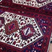 جفت زرنیم زیبا سالم سلامت بفروش میرسد