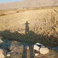 دو جریب زمین برنج کاری