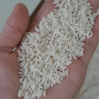 فروش برنج طارم هاشمی معطرومرغوب|خوردنی و آشامیدنی|ساری, |دیوار