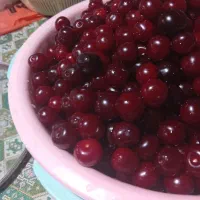 مربا و شربت آلبالو