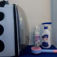 گربه پرشین نر سوپرفلت|گربه|رشت, پل تالشان|دیوار