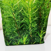 کیسه نگهداری سبزی|سفره، حوله، دستمال آشپزخانه|ایلام, |دیوار